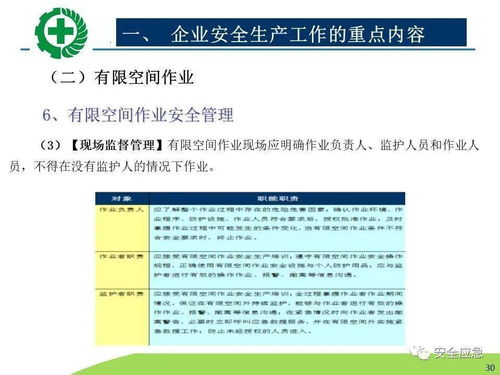 生產(chǎn)經(jīng)營單位安全生產(chǎn)檢查 內(nèi)容、程序、方法及網(wǎng)絡技術(shù)服務的應用